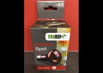 Pro Rep: Infrared Spot 40 Watts