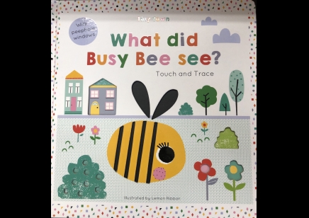 Children: What Did Busy Bee See-touch and trace book (2yrs plus)