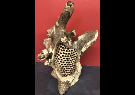 Sunlover: Driftwood Bees Nest - Standing 6 Bees 