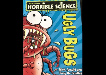 Childrens: Horrible Science Ugly Bugs
