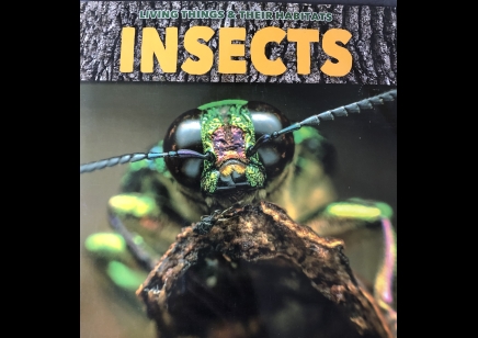 Childrens: Insects By Grace Jones