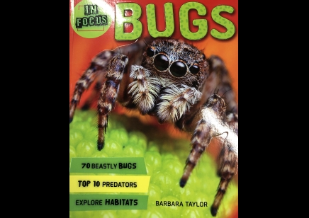 Childrens: In Focus Bugs - B Taylor