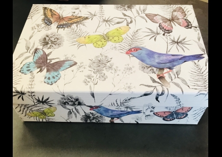 Gift Box - Size 5-  Bird & Butterfly - 20% Off was £6.75