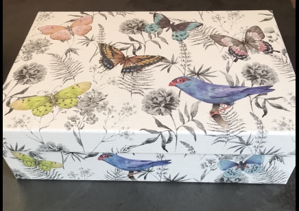 Gift Box -Size 7-  Bird & Butterfly -20% Off was £8.95