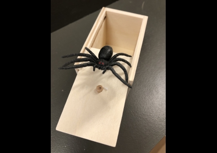Spider- Jumping Spider Trick Box