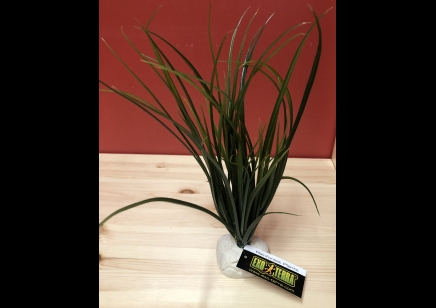 ET- Turtle Grass