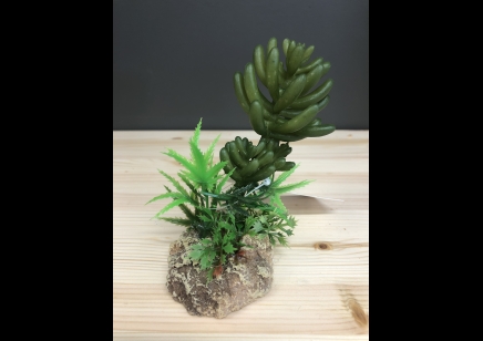 RS- Desert Plant with Rock Base- 7.5 x 6 x 12cm