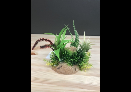 RS- Plant with Rock Base