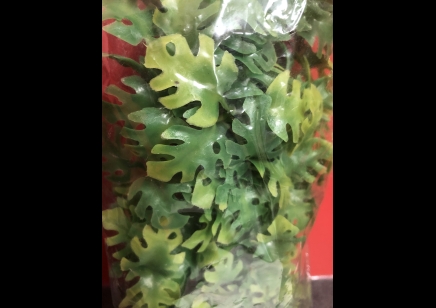 PLASTIC PLANT: MEDIUM AMAZONIAN PHYLLO