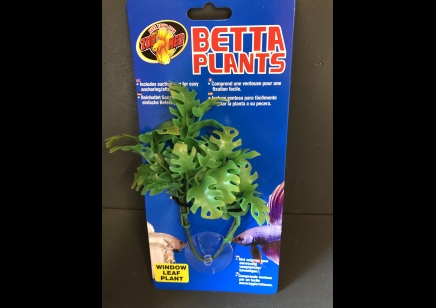 PLASTIC SUCTION PLANT: WINDOW LEAF