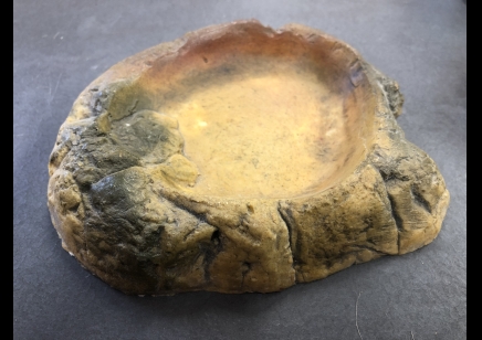 Pro rep: terrarium bowl stone Medium