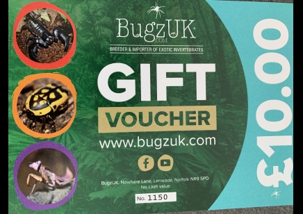 £10.00 voucher