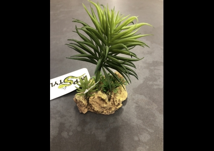 RS- Desert Plant with Rock Base- 7.5 x 6 x 12cm