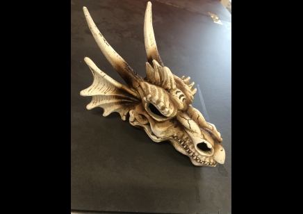 Dragon Skull:Pro rep- Med 19.5 x 14.8 x 13.5cm 