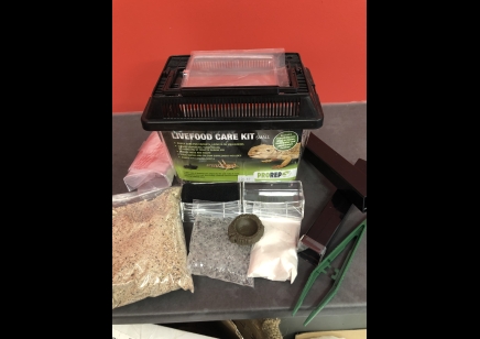 Pro Rep: Live food care kit (small)