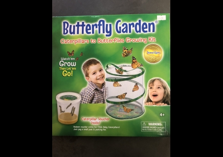 Butterfly Garden