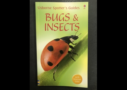 Children: Bugs & Insects