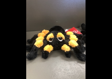 Spindra Tarantula plush toy- Small