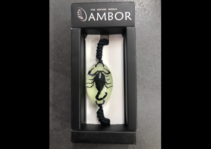 Scorpion Bracelet- Glow in the Dark