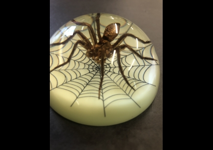 Paperweight Dome- small  Spider with web