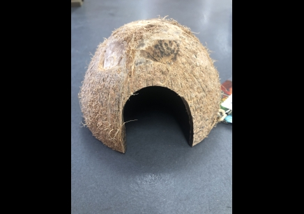 Coconut Shell Hide