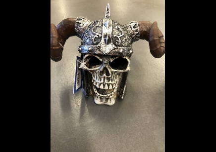 Viking Skull