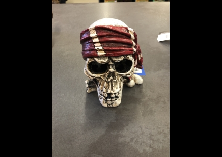 Pirate Skull