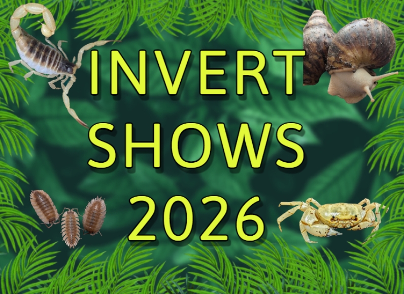 Invertebrate shows we will be attending 2026!