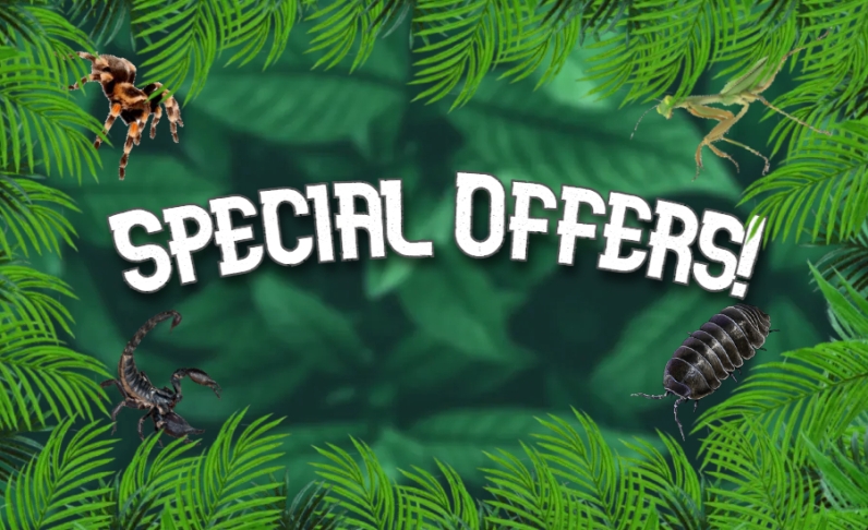 SPECIAL OFFERS