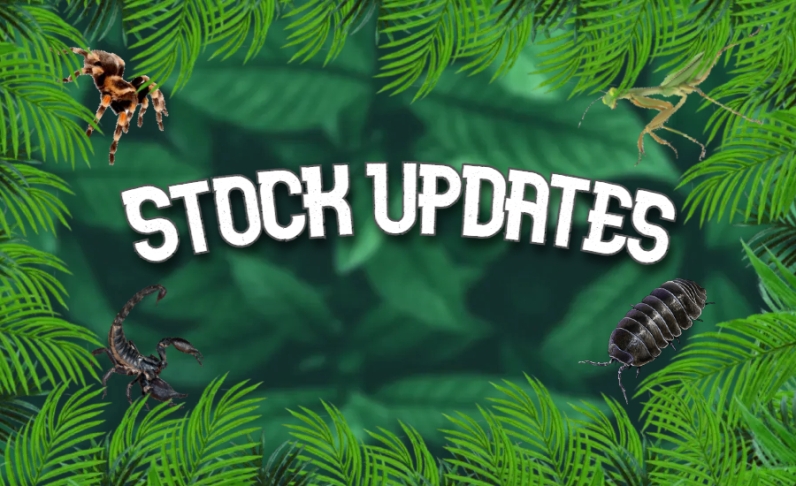 Stock updates