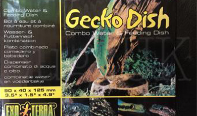 Gecko Dish