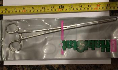 Habistat Feeding Forceps With Lockable Handle 30cm