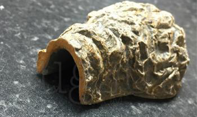 Spiderling Tunnel Hide
