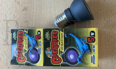 Creatures Led Black Light Screw Bulb Fitting