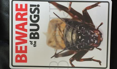 Beware Of The Cricket / Bugs..