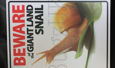 Beware Of The Land Snail