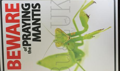 Beware Of The Praying Mantis... 