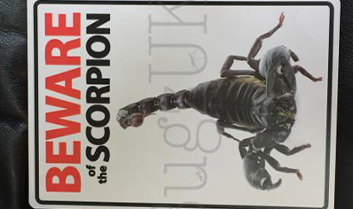Beware Of The Scorpion