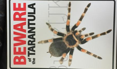 Beware Of The Tarantula...