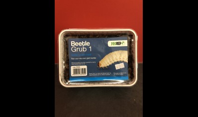 Beetle Grub Type 1 Substrate