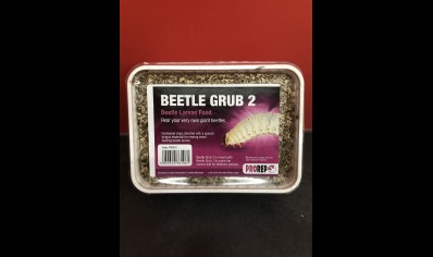 Beetle Grub Type 2 Substrate