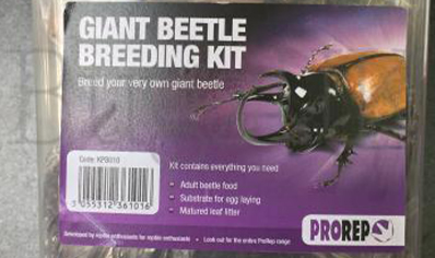 Beetle Rearing Kit (chafer Beetles)