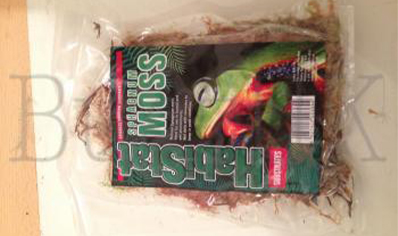 Sphagnum Moss, Habistat