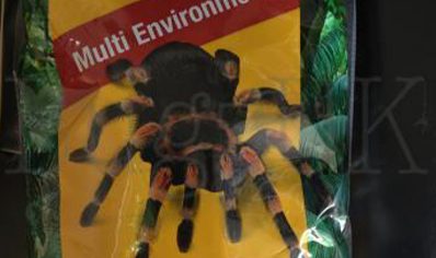 Spider Life Substrate 10 Ltr (uk Only)