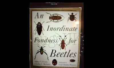 Beetles : An Inordinate Fondness For Beetles