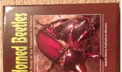 Beetles : Horned Beetles By Arrow