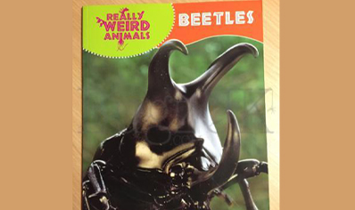 Beetles : Really Weird Animals Series Beetles