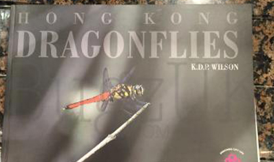 Dragonflies : Hong Kong Dragonflies