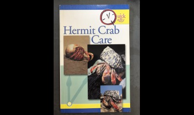 Hermit Crabs : Quick & Easy Hermit Crabs Tfh