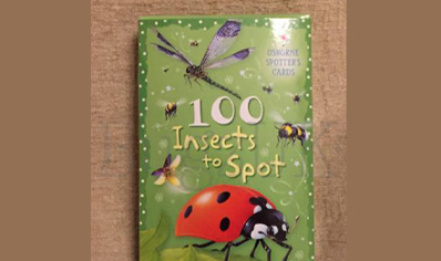 Insects : 100 Garden Insects To Spot